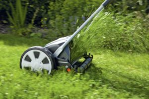 Rasen Mulchen oder auffangen