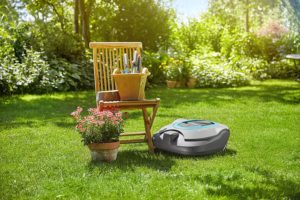 Am Sonntag mit einem Mähroboter Rasen mähen
